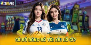 Cá độ bóng đá tài xỉu là gì?