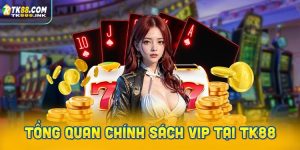 Tổng quan chính sách VIP tại TK88