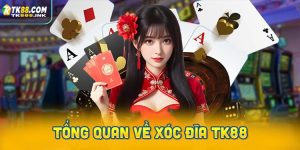 Giới thiệu tổng quan về Xóc Đĩa TK88