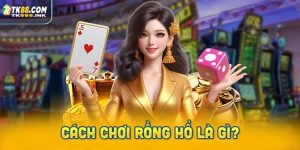 Hướng dẫn chi tiết cách chơi rồng hổ là gì?
